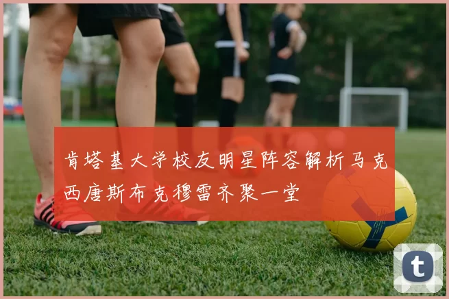 肯塔基大学校友明星阵容解析马克西唐斯布克穆雷齐聚一堂