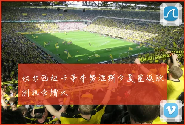 切尔西纽卡争夺努涅斯今夏重返欧洲机会增大